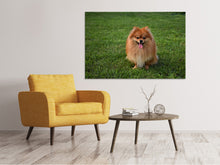 Laden Sie das Bild in den Galerie-Viewer, Leinwandbild Der kleine Spitz