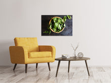 Laden Sie das Bild in den Galerie-Viewer, Leinwandbild Blätter Basilikum