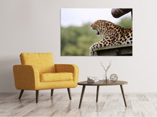 Laden Sie das Bild in den Galerie-Viewer, Leinwandbild Müder Leopard