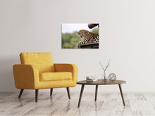 Laden Sie das Bild in den Galerie-Viewer, Leinwandbild Müder Leopard