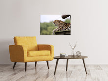 Laden Sie das Bild in den Galerie-Viewer, Leinwandbild Müder Leopard