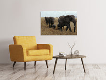 Laden Sie das Bild in den Galerie-Viewer, Leinwandbild Elefanten Familie