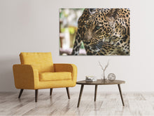 Laden Sie das Bild in den Galerie-Viewer, Leinwandbild Achtung Raubkatze !