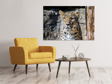 Laden Sie das Bild in den Galerie-Viewer, Leinwandbild Leopard auf der Lauer