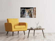 Laden Sie das Bild in den Galerie-Viewer, Leinwandbild Leopard auf der Lauer