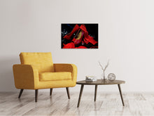 Laden Sie das Bild in den Galerie-Viewer, Leinwandbild Rote High Heels