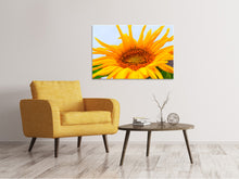 Laden Sie das Bild in den Galerie-Viewer, Leinwandbild Grosse Sonnenblume