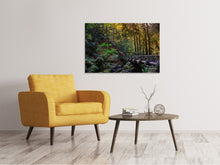 Laden Sie das Bild in den Galerie-Viewer, Leinwandbild Die Wald Brücke