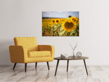 Laden Sie das Bild in den Galerie-Viewer, Leinwandbild Eine Sonnenblume im Feld