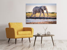 Laden Sie das Bild in den Galerie-Viewer, Leinwandbild Elefant in der Natur
