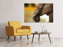 Laden Sie das Bild in den Galerie-Viewer, Leinwandbild Elefant Close up