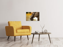 Laden Sie das Bild in den Galerie-Viewer, Leinwandbild Elefant Close up
