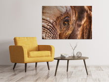 Laden Sie das Bild in den Galerie-Viewer, Leinwandbild Der Blick des Elefanten