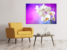 Laden Sie das Bild in den Galerie-Viewer, Leinwandbild Flower Power Orchidee