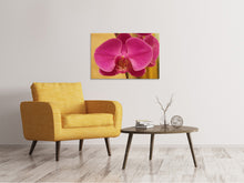Laden Sie das Bild in den Galerie-Viewer, Leinwandbild Close up Orchidee in pink