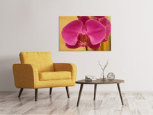 Laden Sie das Bild in den Galerie-Viewer, Leinwandbild Close up Orchidee in pink