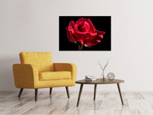 Laden Sie das Bild in den Galerie-Viewer, Leinwandbild Die Blume der Liebe