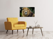 Laden Sie das Bild in den Galerie-Viewer, Leinwandbild König der Tierwelt