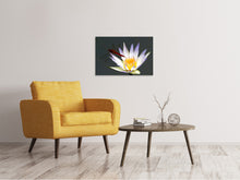 Laden Sie das Bild in den Galerie-Viewer, Leinwandbild Die Libelle auf der Blüte