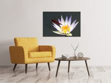 Laden Sie das Bild in den Galerie-Viewer, Leinwandbild Die Libelle auf der Blüte