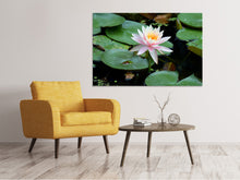 Laden Sie das Bild in den Galerie-Viewer, Leinwandbild Die stolze Seerose