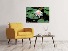 Laden Sie das Bild in den Galerie-Viewer, Leinwandbild Die stolze Seerose