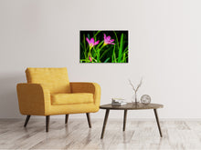 Laden Sie das Bild in den Galerie-Viewer, Leinwandbild Blüten in der Natur