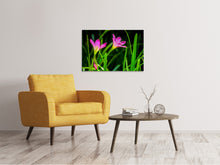 Laden Sie das Bild in den Galerie-Viewer, Leinwandbild Blüten in der Natur