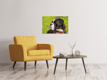 Laden Sie das Bild in den Galerie-Viewer, Leinwandbild Aufmerksamer Boxer