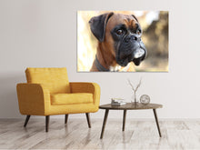 Laden Sie das Bild in den Galerie-Viewer, Leinwandbild Der Boxer Blick
