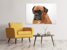 Laden Sie das Bild in den Galerie-Viewer, Leinwandbild Der Boxer