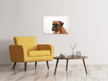 Laden Sie das Bild in den Galerie-Viewer, Leinwandbild Boxer - der Aufpasser