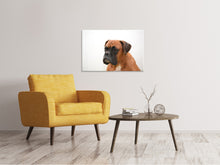 Laden Sie das Bild in den Galerie-Viewer, Leinwandbild Boxer - der Aufpasser