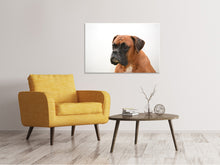 Laden Sie das Bild in den Galerie-Viewer, Leinwandbild Boxer - der Aufpasser