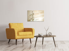 Laden Sie das Bild in den Galerie-Viewer, Leinwandbild Orchidee im Glas
