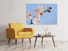 Laden Sie das Bild in den Galerie-Viewer, Leinwandbild Orchidee im Himmel