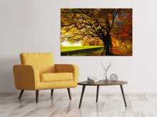 Laden Sie das Bild in den Galerie-Viewer, Leinwandbild Bäume im Herbst