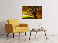 Laden Sie das Bild in den Galerie-Viewer, Leinwandbild Bäume im Herbst