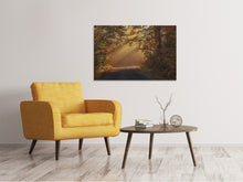 Laden Sie das Bild in den Galerie-Viewer, Leinwandbild Sonnenstrahlen im Wald