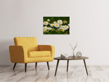 Laden Sie das Bild in den Galerie-Viewer, Leinwandbild Gänseblümchen XL