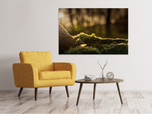 Laden Sie das Bild in den Galerie-Viewer, Leinwandbild Das Moos
