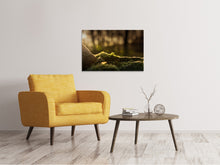 Laden Sie das Bild in den Galerie-Viewer, Leinwandbild Das Moos