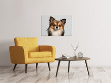 Laden Sie das Bild in den Galerie-Viewer, Leinwandbild Süsser Chihuahua