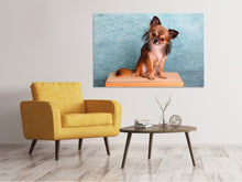 Laden Sie das Bild in den Galerie-Viewer, Leinwandbild Typisch Chihuahua