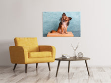 Laden Sie das Bild in den Galerie-Viewer, Leinwandbild Typisch Chihuahua