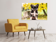 Laden Sie das Bild in den Galerie-Viewer, Leinwandbild Niedliche Chihuahua Welpe
