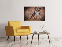 Laden Sie das Bild in den Galerie-Viewer, Leinwandbild Chihuahua Portrait