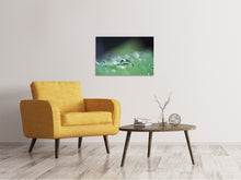 Laden Sie das Bild in den Galerie-Viewer, Leinwandbild Wassertropfen in XXL