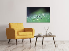 Laden Sie das Bild in den Galerie-Viewer, Leinwandbild Wassertropfen in XXL