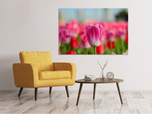 Laden Sie das Bild in den Galerie-Viewer, Leinwandbild Tulpenfeld in rosa-rot